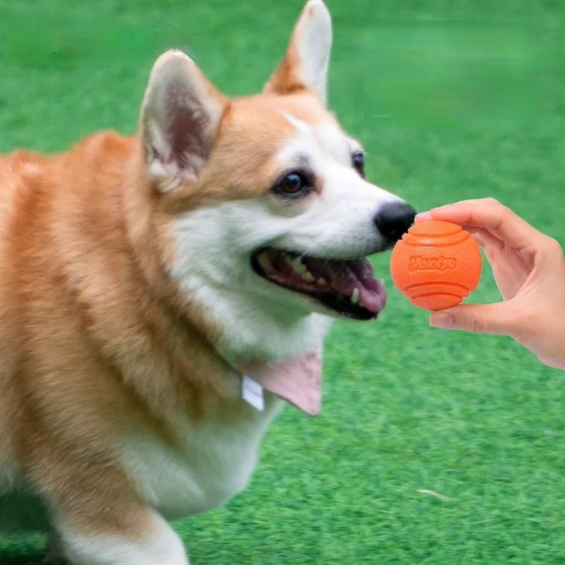 Brinquedo Pet Bola mastigável para cães - ORIENTE PRIME