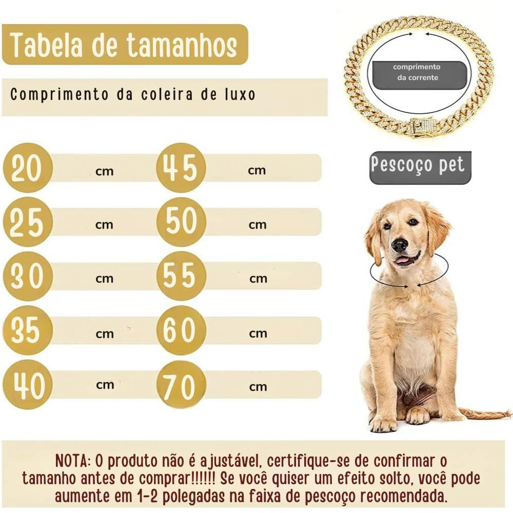 Coleira para Cães e Gatos, Corrente Dourada de Luxo, Jóias Pet - ORIENTE PRIME