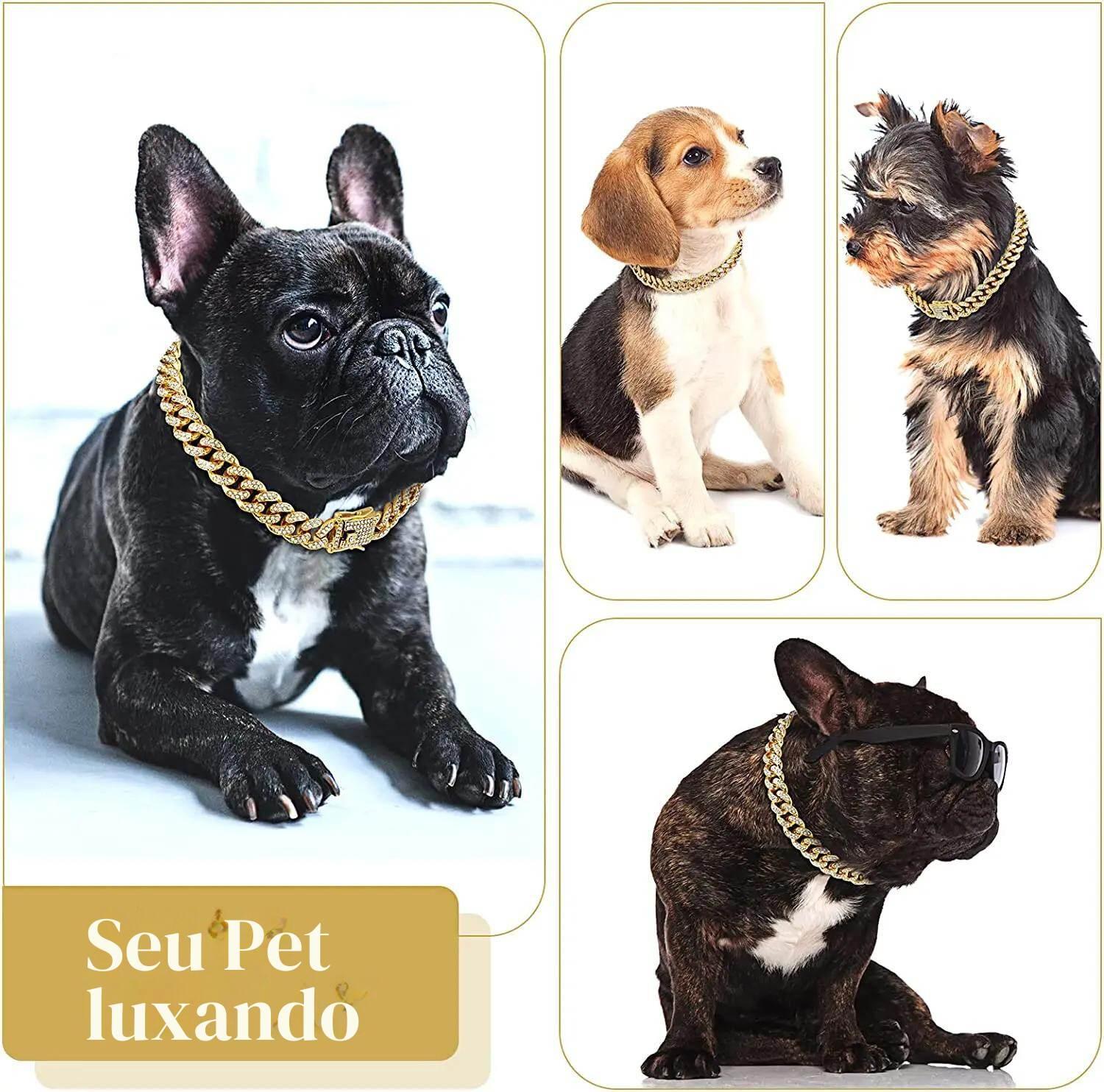 Coleira para Cães e Gatos, Corrente Dourada de Luxo, Jóias Pet - ORIENTE PRIME